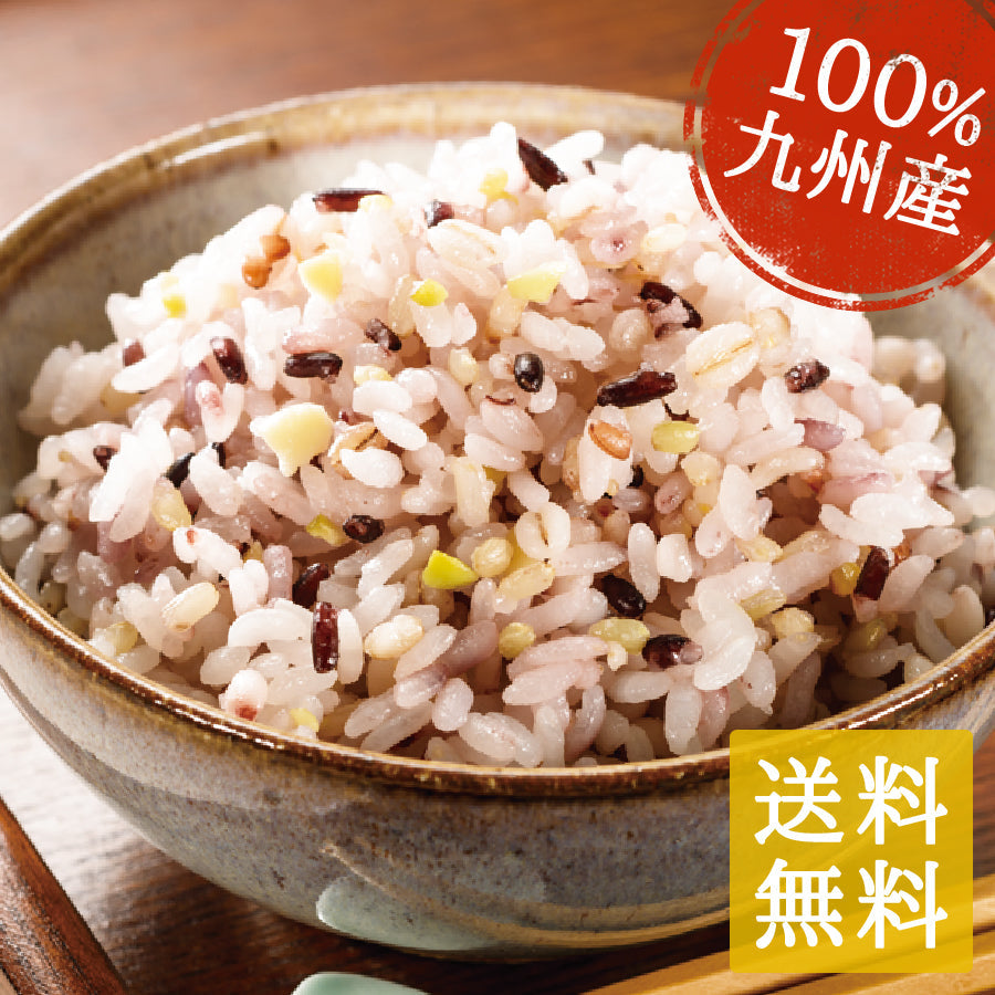 九州の15穀米 1袋 400g