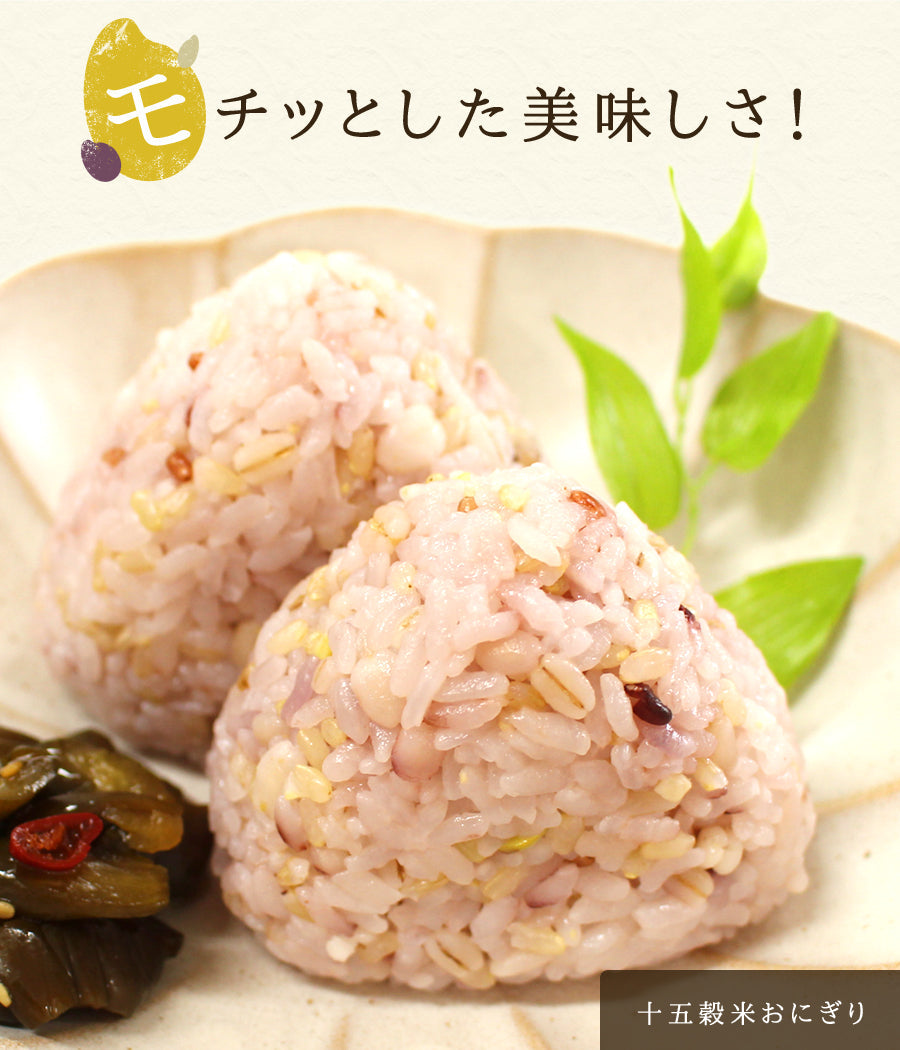 九州の15穀米 1袋 400g