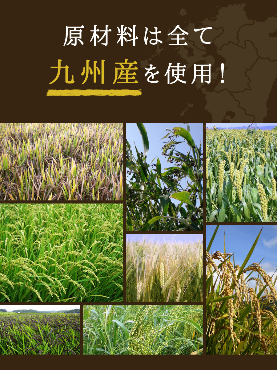 九州の15穀米 1袋 400g