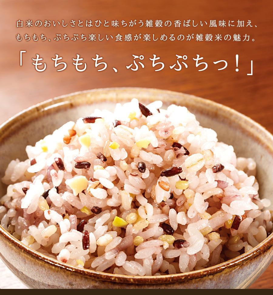 九州の15穀米 1袋 400g