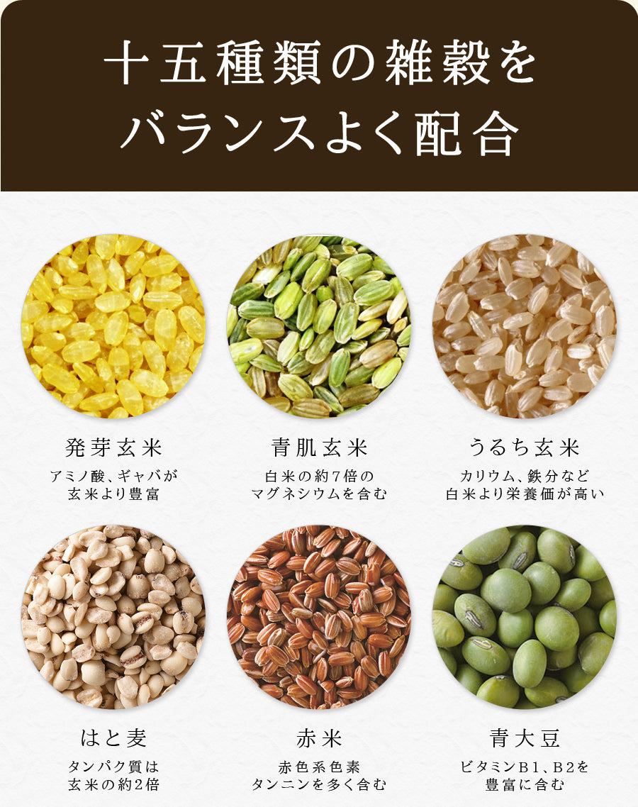 九州の15穀米 1袋 400g