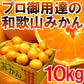 訳あり和歌山みかん10kg プロ御用達