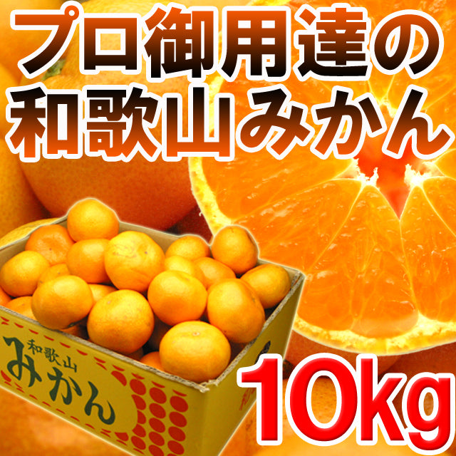 訳あり和歌山みかん10kg プロ御用達