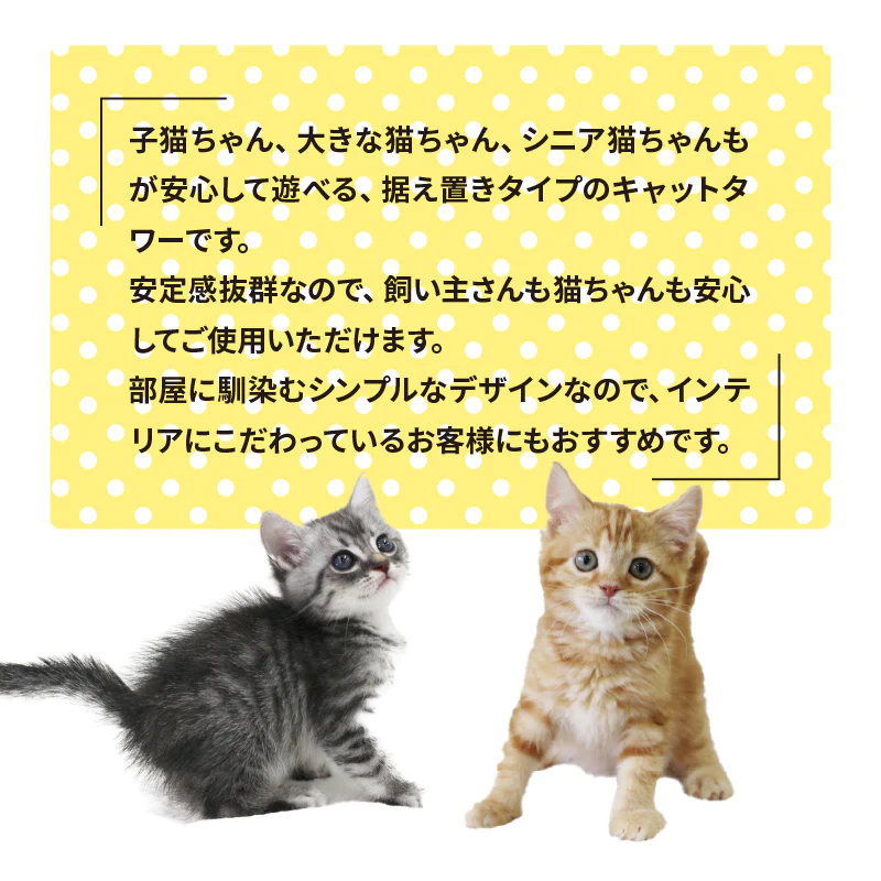 ねこぞくタンゴ キャットタワー