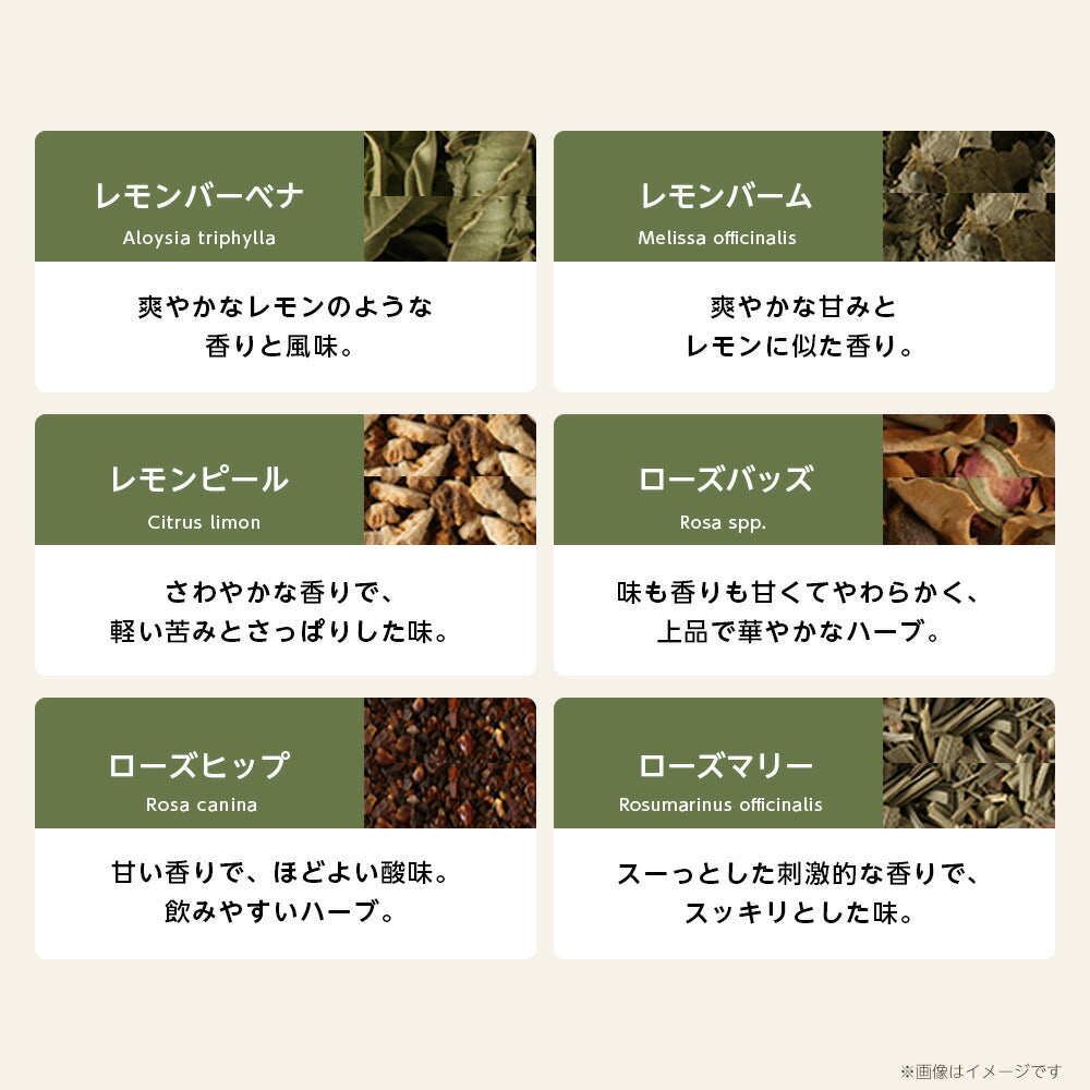 【※選択肢商品】オーガニック・ハーブティー 有機JAS 選べる セット お試し 4種【送料無料】マロウブルー ローズヒップ カモミール ラベンダー 36種から選べる リーフ ハーブ ギフト 産後 マタニティ グリーンルイボスティー セントジョーンズワートハニーブッシュ