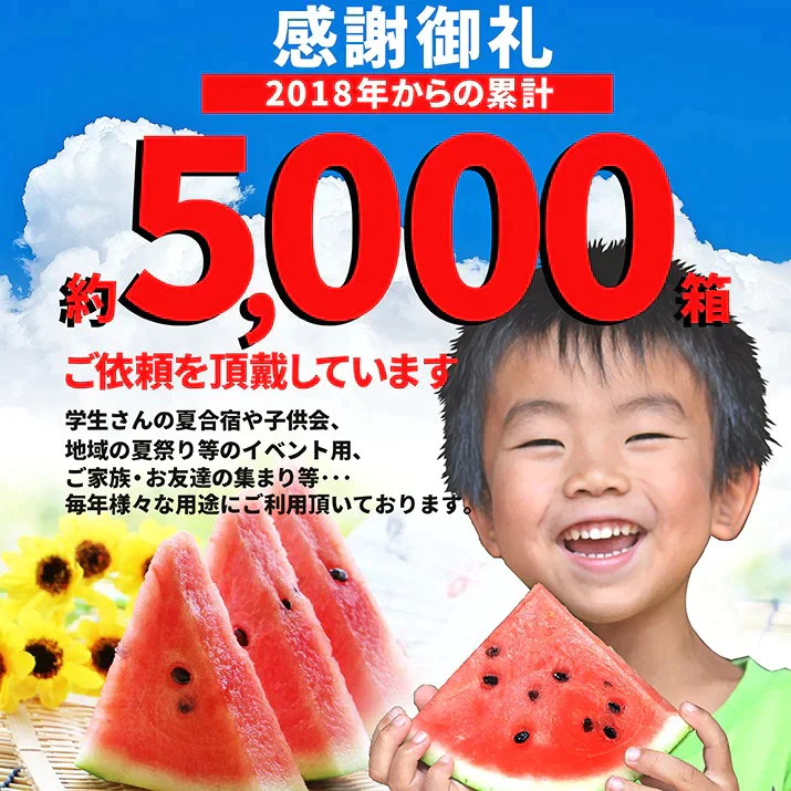 【7月下旬発送】 尾花沢 スイカ 訳あり 1玉 4L 5L（約9kg前後）山形県産 お徳用 ワケあり ワケ待ち 産地直送 キャンプに 海水浴に スイカ割りに ブランド 送料無料 同梱不可 日時指定不可 夏 暑さ対策 食べ物【エコ得】
