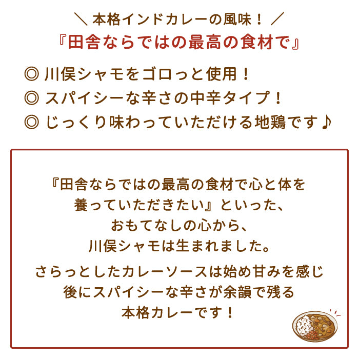 あぶくま地鶏 川俣シャモ スパイスカレー〈中辛〉×2箱 *　福島土産　グルメ　福島郷土料理【特産品・ご当地特集】