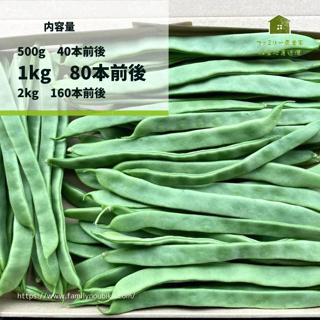 【農家直送！】鹿児島産 -甘塩ジャンボインゲン-（1kg,80本前後）採れたて新鮮！ / 野菜 / いんげん / 豆 / ごま / 炒め物 / 煮物 / サラダ / 新鮮 / 農産物 / 無農薬 / 送料無料【特産品・ご当地特集】