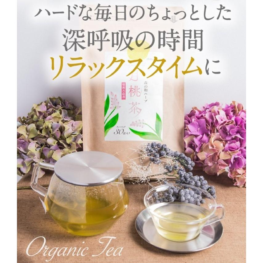 さくらの森【公式】 月桃茶 げっとうちゃ ゲットウチャ ノンカフェイン ティーバッグ カロリー0 しま月桃 無農薬 防腐剤不使用 リラックス　美肌