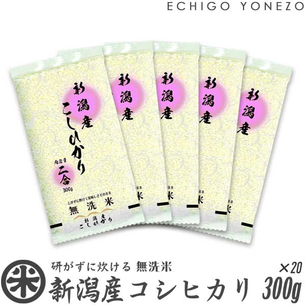 【新潟米 令和3年産】無洗米 新潟産コシヒカリ 窒素充填 小分けパック 6kg (300g×20袋) NTWP製法