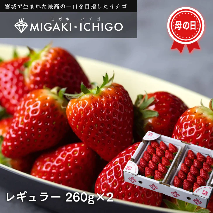 母の日ギフト 贈り物 いちご ミガキイチゴ 宮城県産 レギュラーパック 2パック(約260g×2) 粒数おまかせ 送料無料