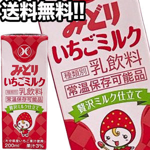 九州乳業 みどり いちごミルク 200ml紙パック×96本［24本×4箱］北海道、沖縄、離島は送料無料対象外［賞味期限：製造から90日］［送料無料］【3~4営業日以内に出荷】［201803］