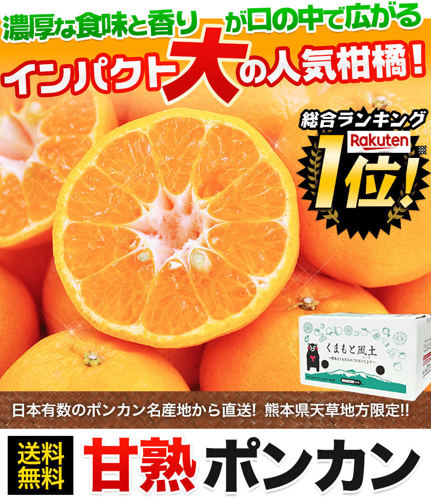 【販売解禁】訳あり 甘熟 ポンカン 5kg 送料無料  甘い みかん ぽんかん デコポン の生みの親 箱買い みかん 柑橘 旬の果物 くまもと風土 熊本県産 みかん【最安値に挑戦】2月上旬-2月末頃より発送予定