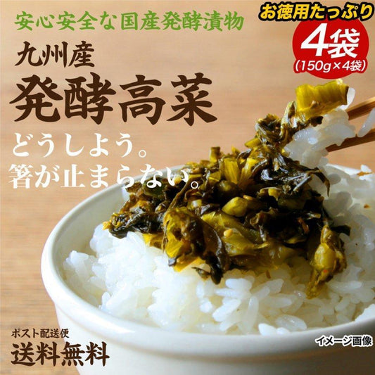 九州高菜 4袋 (150g×4袋) 送料無料 ご飯のお供 ふりかけ 食品 お試し 国産 ギフト お取り寄せ グルメ 漬物 鹿児島 宮崎