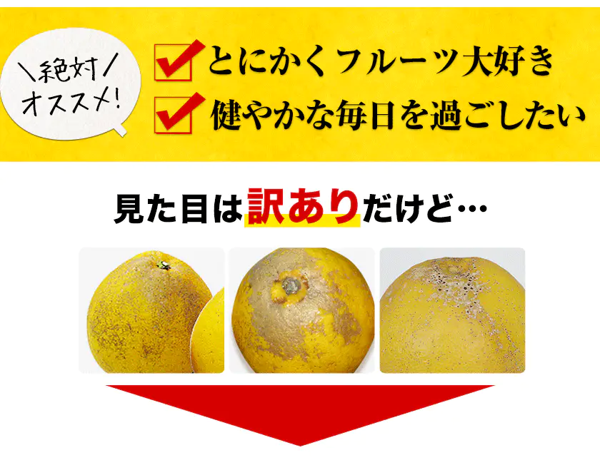 河内晩柑 1.5kg 送料無料 和製 グレープフルーツ 旬 の フルーツ 果物 みかん 別名：夏文旦 愛南ゴールド 宇和ゴールド ジューシーみかん と同品種 晩柑 熊本県産《3月中旬~4月上旬頃発送予定》