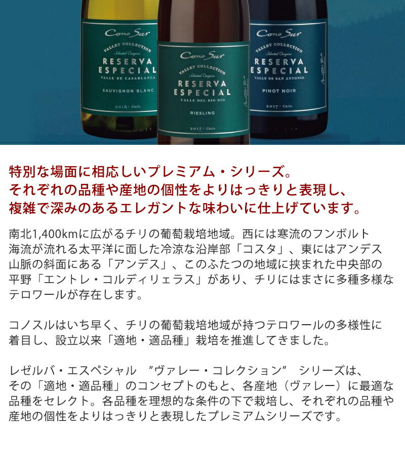 ワイン ワインセット  【送料無料】よりどり選べる コノスル レゼルバ&オーガニック シリーズ 12本  ワインセット【北海道・東北・九州・四国・沖縄県は必ず送料が掛かります】