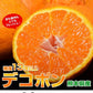 デコポン でこぽん 熊本県産 約1.2kg 4~6玉