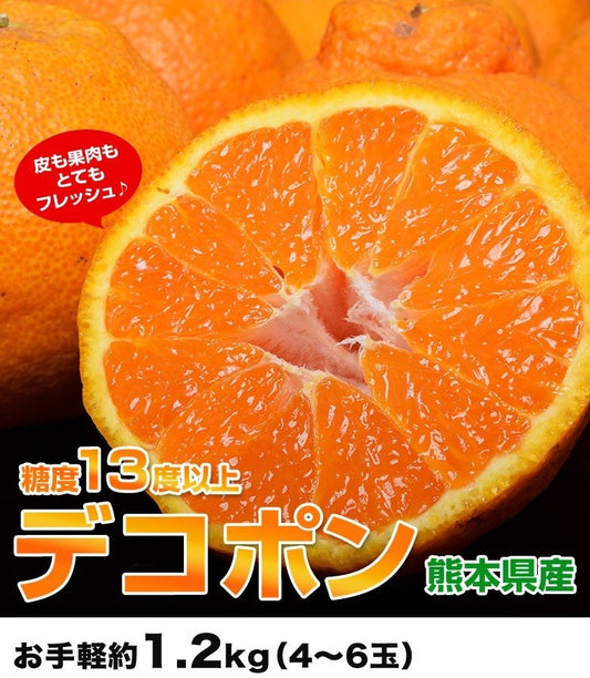 デコポン でこぽん 熊本県産 約1.2kg 4~6玉