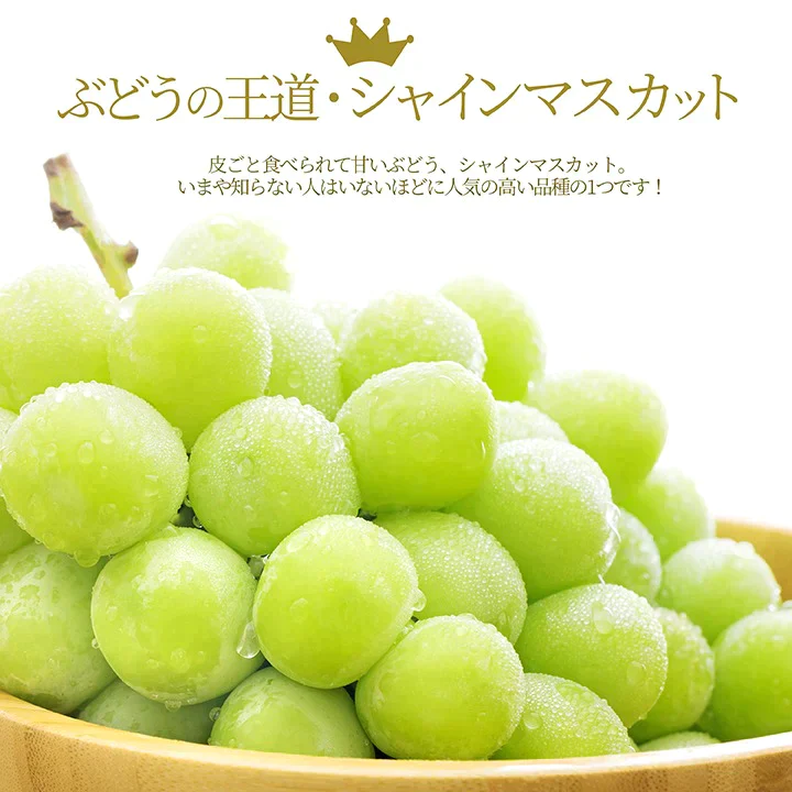 【9月下旬発送】 シャインマスカット 産地直送 2〜3房入り（約1kg前後） 山形県産 お徳用 大粒 訳ありぶどう 山形県から産地直送 種無し 大粒 送料無料 果物
