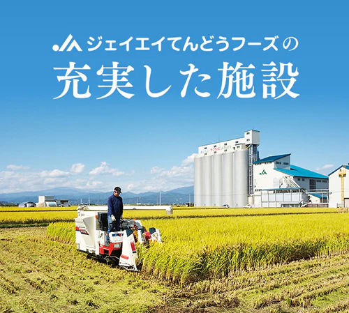 【超シェア買い祭】令和4年産 送料無料 米 10kg 山形県産 つや姫 10kg(5kg×2) 精米 ※一部地域は別途送料追加 rts1004