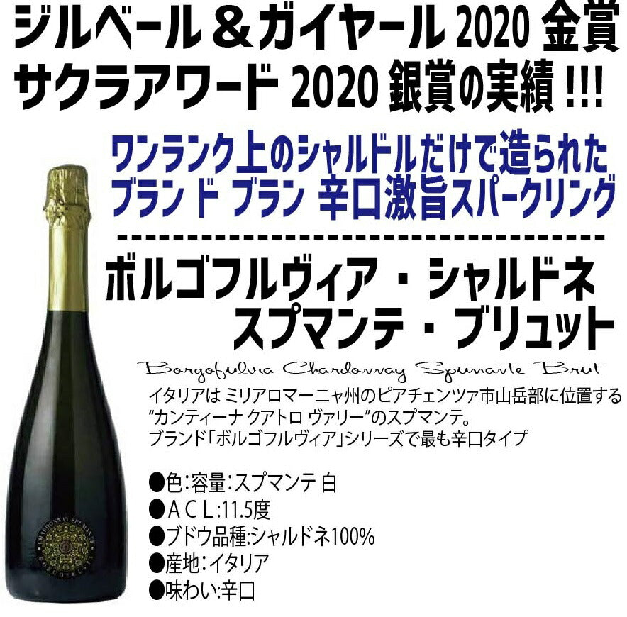 【送料無料】ワイン セット 辛口だけ！衝撃コスパ スパークリング セット  750ml 10本セット辛口 高炭酸 白 ロゼ 泡 ギフト【北海道・東北・四国・九州・沖縄県は必ず送料がかかります】