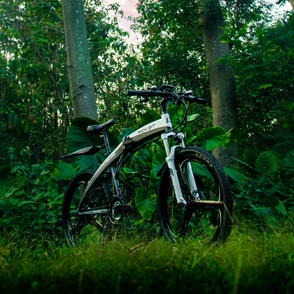 ファットバイク fatbike 電動ハイブリッドバイク 26インチ RICHBIT 