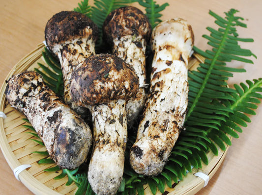 奥会津・山形産 松茸 つぼみ 200g (3～4本) * (クール便)【特産品・ご当地特集】