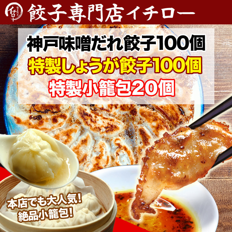 イチロー餃子の神戸味噌だれ餃子100個+生姜餃子100個+小籠包20個セット