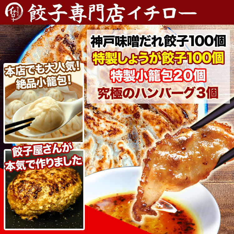 神戸味噌だれ餃子100個+生姜餃子100個+小籠包20個+ハンバーグ3個セット
