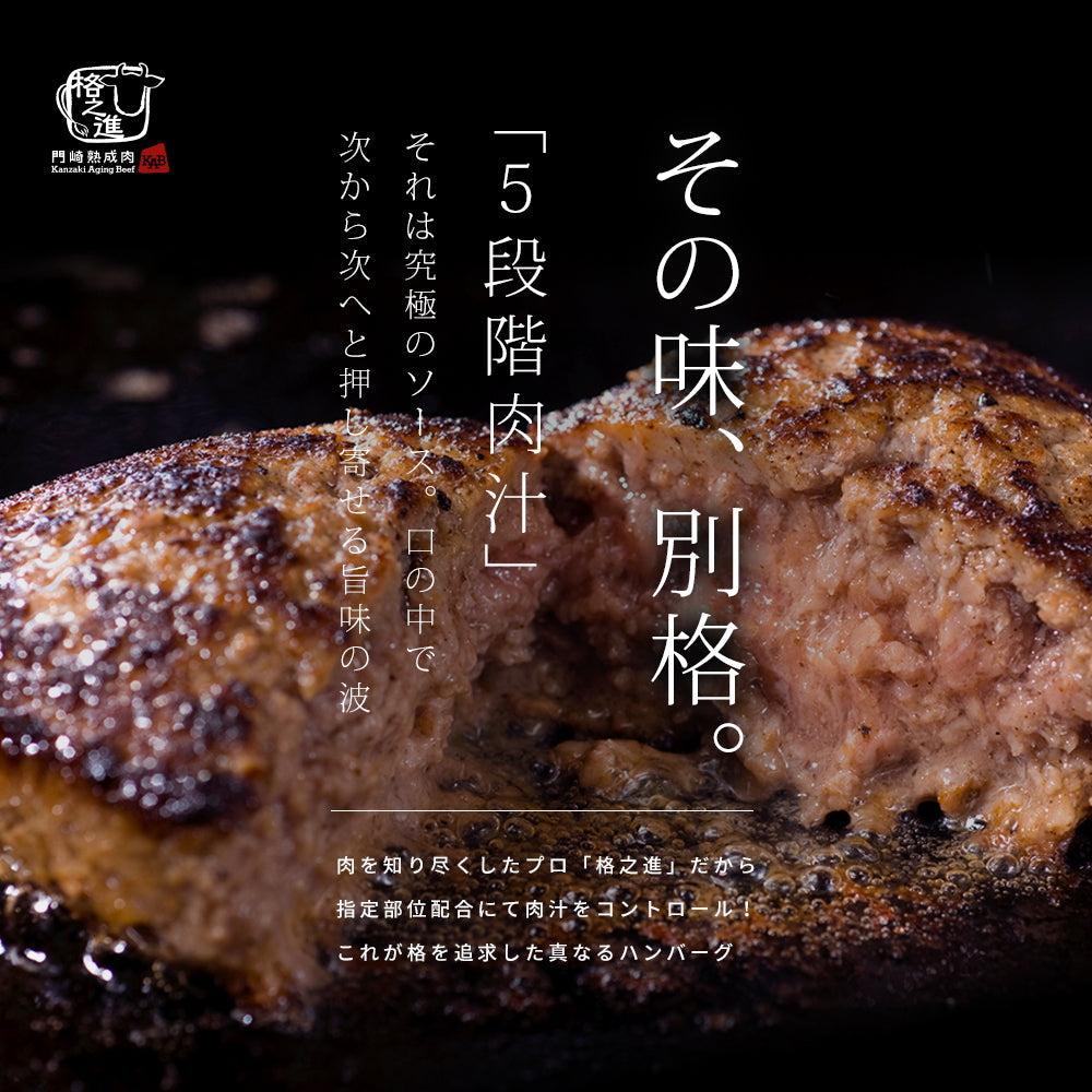 【3人シェア買いでお得】10個セット　格之進 白格ハンバーグ 黒毛和牛 無添加