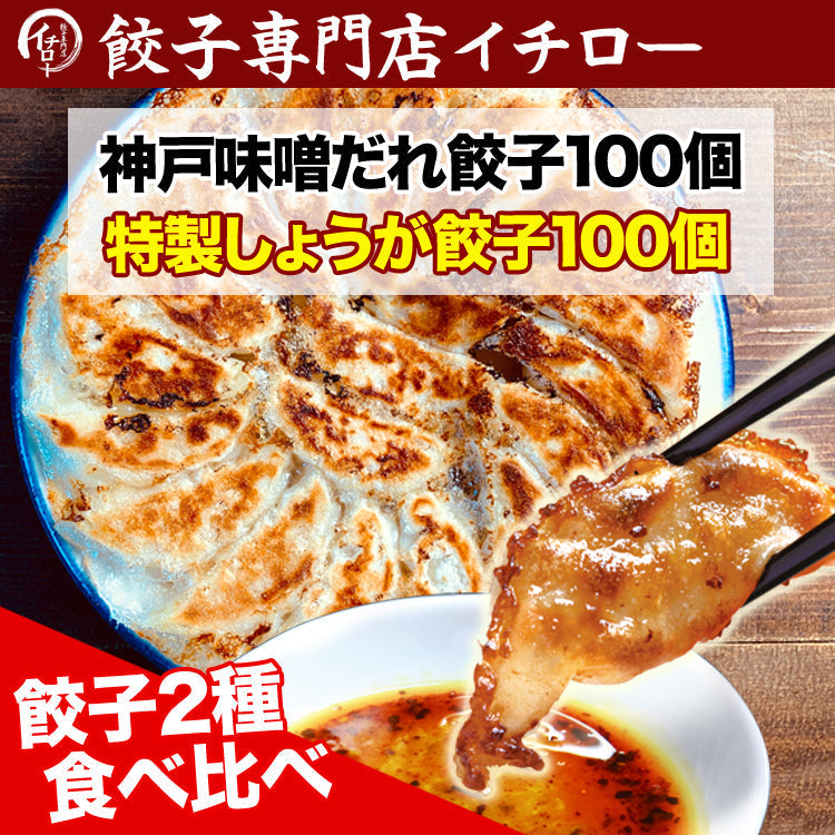 イチロー餃子の神戸味噌だれ餃子100個+生姜餃子100個セット