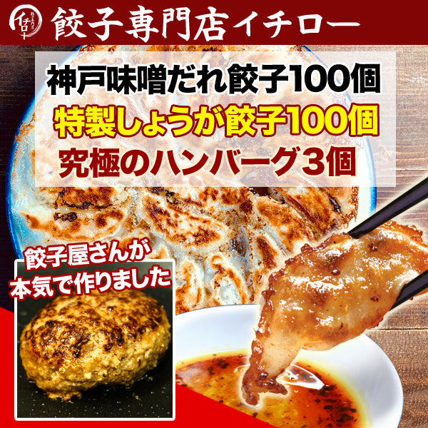 イチロー餃子の神戸味噌だれ餃子100個+生姜餃子100個+ハンバーグ3個セット
