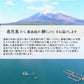 鹿児島産ぶり・冷凍 1尾セット（1/4身ｘ4本・ぶりカマ2個入りｘ1パック）