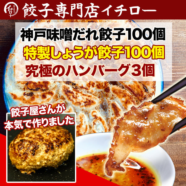 イチロー餃子の神戸味噌だれ餃子100個+生姜餃子100個+ハンバーグ3個セット