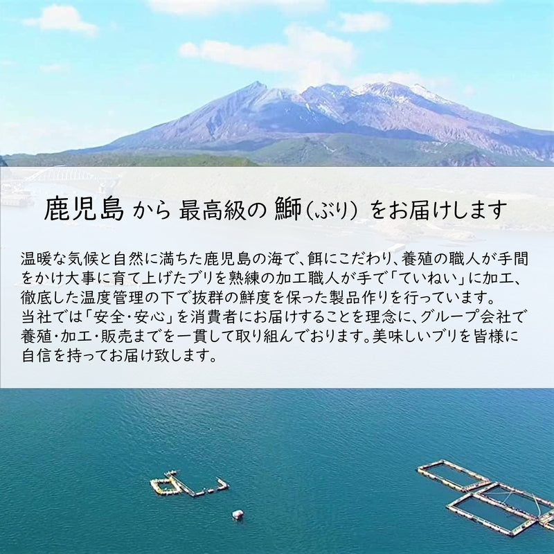 鹿児島産ぶり カマ 3パックセット（2個/パック、約400g/パック）冷凍