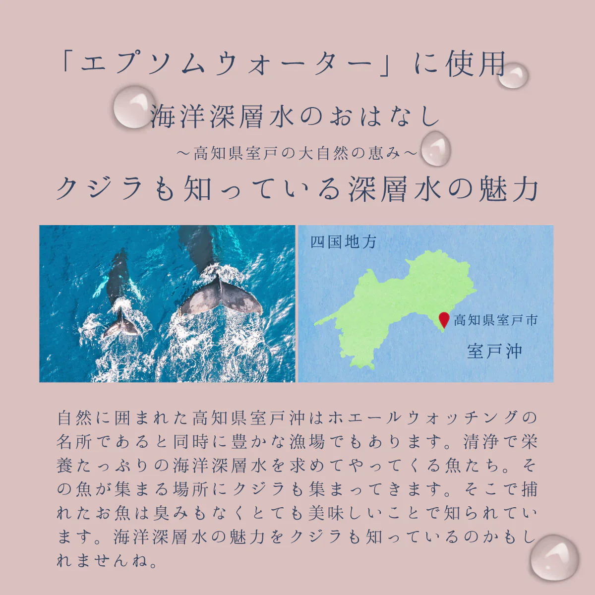 美と健康の炭酸水 エプソムウォーター 500ml 96本