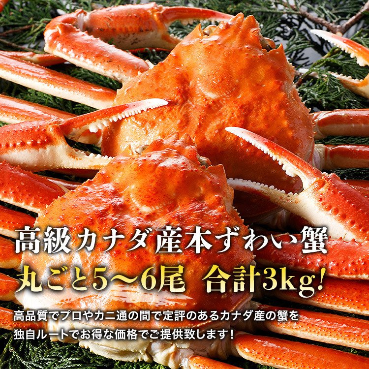 【5人でシェア買いでお得】かに 蟹 姿ずわいがに 3kg セット (5?6尾) 送料無料 冷凍便 かにみそ ズワイガニ カニ