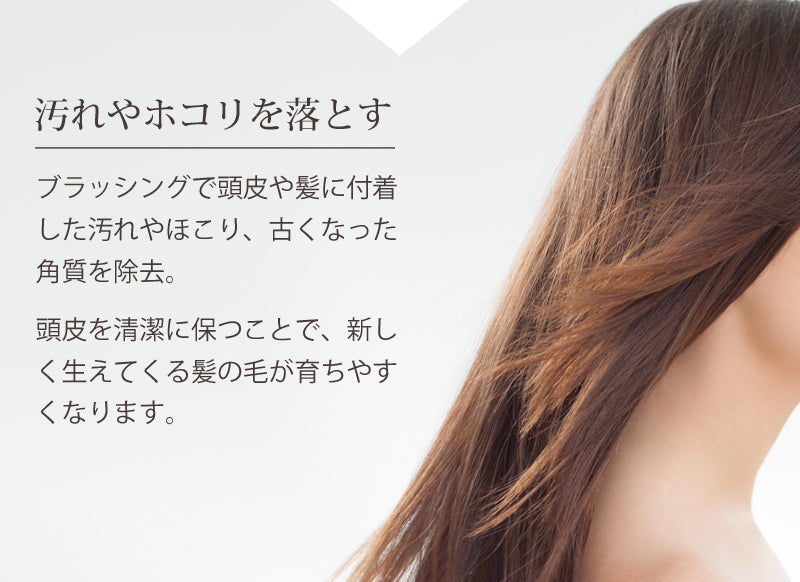 【5人シェア買いでお得】コイズミ リセットブラシ ヘアブラシ ヘアーブラシ ピンク | くし クシ 海外対応 音波振動磁気ヘアブラシ 振動ブラシ 電動 かわいい 可愛い 静電気 頭皮ケア ヘアケア 人気 絡まない 髪 ツヤ