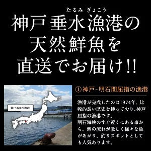 【送料無料】神戸垂水漁港より天然鮮魚を直送!!鮮魚詰め合わせセット 約4～5人前【土曜日発送】【産地直送のため他商品と同梱不可】北海道・沖縄・離島は配送不可