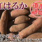 紅はるか さつまいも 5kg 送料無料 産地直送 産直 土付き さつま芋 薩摩芋 焼きいも 焼き芋 石焼き芋 芋 いも イモ 鹿児島県産 ngs-003