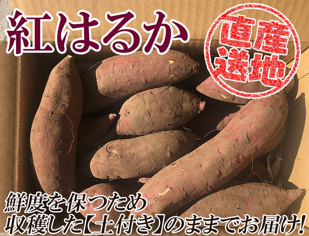 紅はるか さつまいも 5kg 送料無料 産地直送 産直 土付き さつま芋 薩摩芋 焼きいも 焼き芋 石焼き芋 芋 いも イモ 鹿児島県産 ngs-003