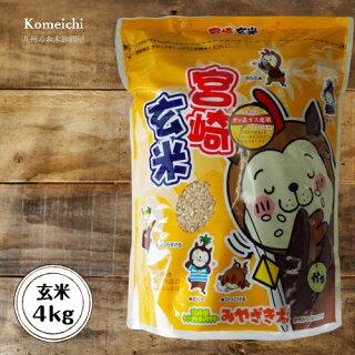 4kg（2kg×2袋）令和３年産  ひのひかり 玄米 宮崎県産 備蓄米