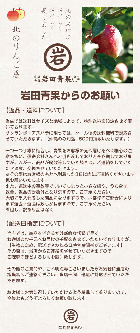 早割【7月上旬発送/予約】さくらんぼ 佐藤錦 仁木 余市産 秀品 LMサイズ 800ｇ