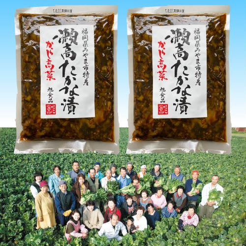 【からし高菜（辛子高菜）250g×2袋】1,000円ポッキリ（送料無料）お試しメール便　旭食品謹製！厳選された福岡瀬高産高菜漬けに秘伝の味付けと、 こだわりの天然素材を使用したワンランク上の味わい！ごはんがススム！