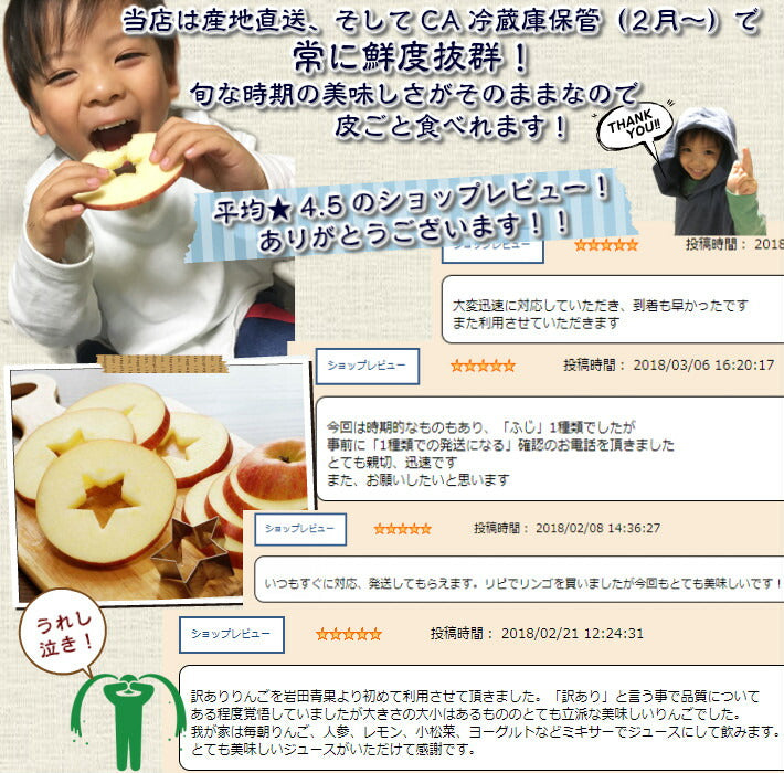 特選3kg詰 9～12玉 北海道サンふじ 果汁たっぷり！ 特選りんご