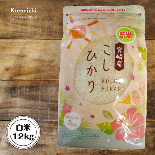 12kg (白米 2kg×6袋) 令和２年産  宮崎県産こしひかり
