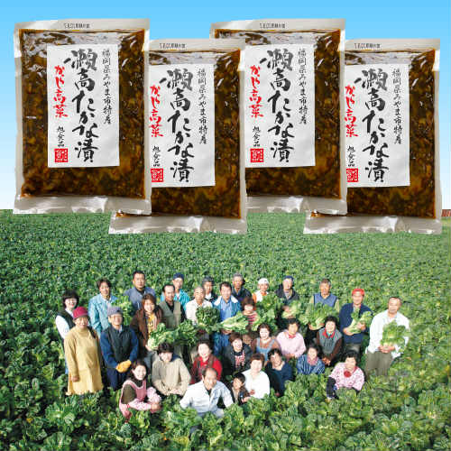 からし高菜（辛子高菜）250g 4袋 【ポスト投函便でお届け】 厳選された福岡瀬高産高菜漬けに秘伝の味付けと、 こだわりの天然素材を使用したワンランク上の味わい！！ いつものラーメンやチャーハンもちょっと贅沢に！【４袋入り送料無料にリニューアルしました！】