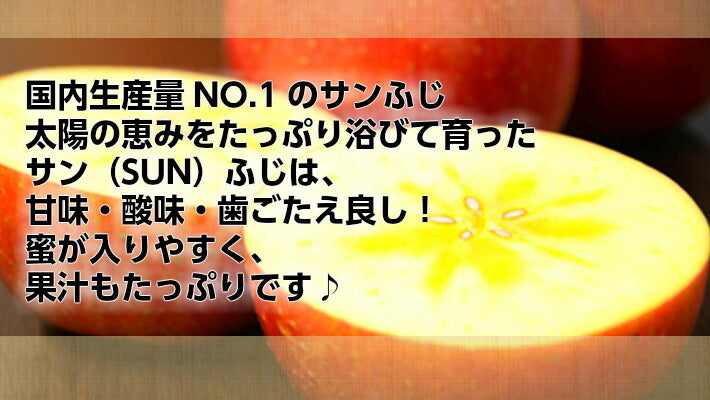 特選3kg詰 9～12玉 北海道サンふじ 果汁たっぷり！ 特選りんご