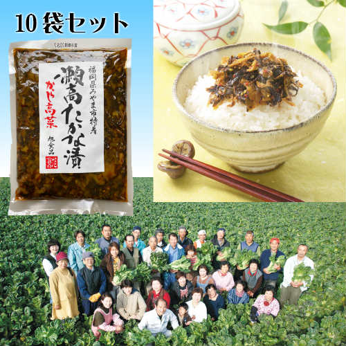 からし高菜（辛子高菜）250g 10袋セット【送料無料】厳選された福岡瀬高産高菜漬けに秘伝の味付けと、 こだわりの天然素材を使用したワンランク上の味わい！ごはんが進む！