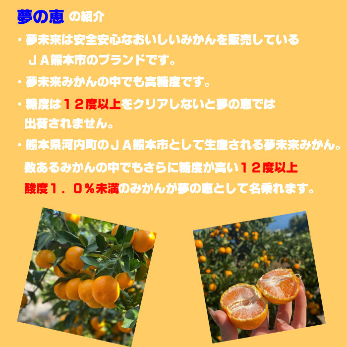 4キロ 熊本産 夢の恵 みかん Sサイズ